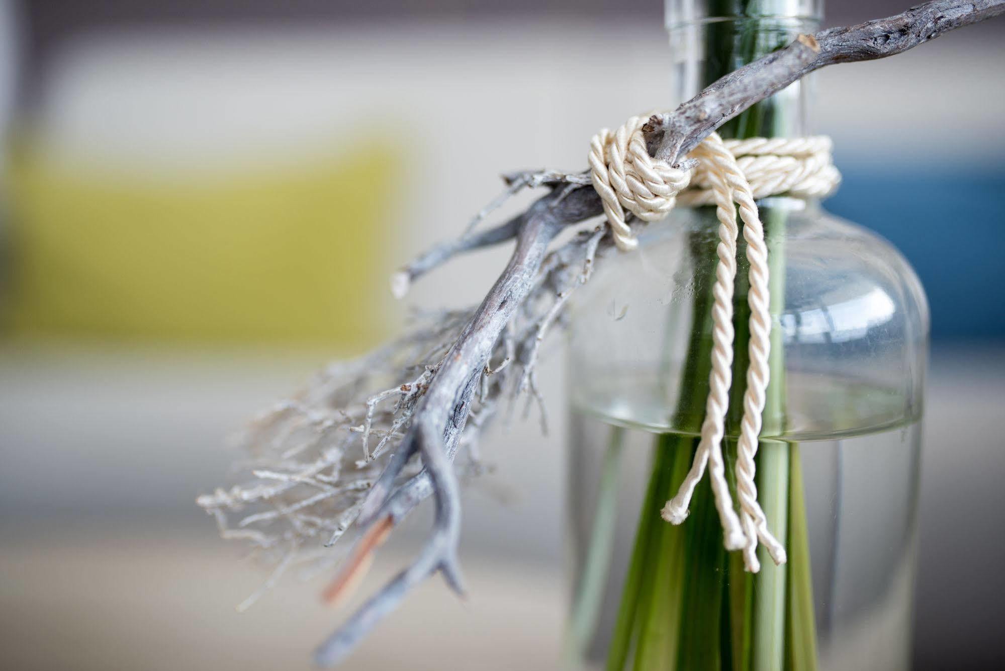 Hotel Neptun Rostock Eksteriør bilde The photo shows a decorative glass bottle with a handle made from a piece of driftwood or twig. The handle is tied with a light-colored rope, adding a rustic touch. The bottle contains what appears to be green foliage or stems, and it is placed again