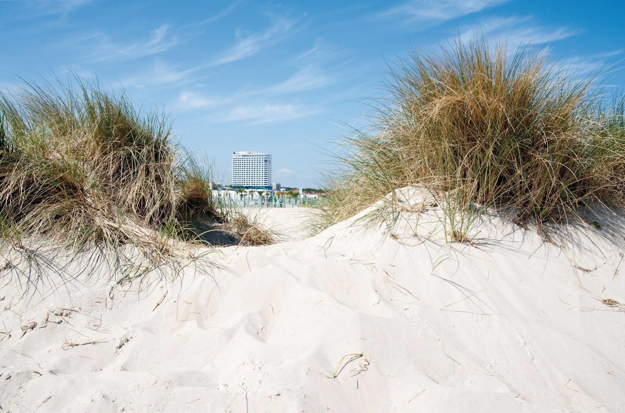 Hotel Neptun Rostock Eksteriør bilde The photo shows a sandy beach scene with tall grass growing in the foreground. Beyond the grass, there appears to be a beach area, and in the background, there is a tall building visible against a clear blue sky with some wispy clouds. The overall at